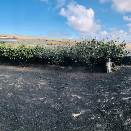 Alegria In The Beautiful Village Of Mozaga, Lanzarote